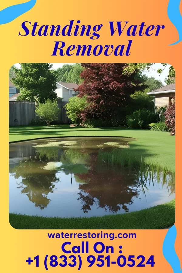 Standing Water Removal in Granger, IA